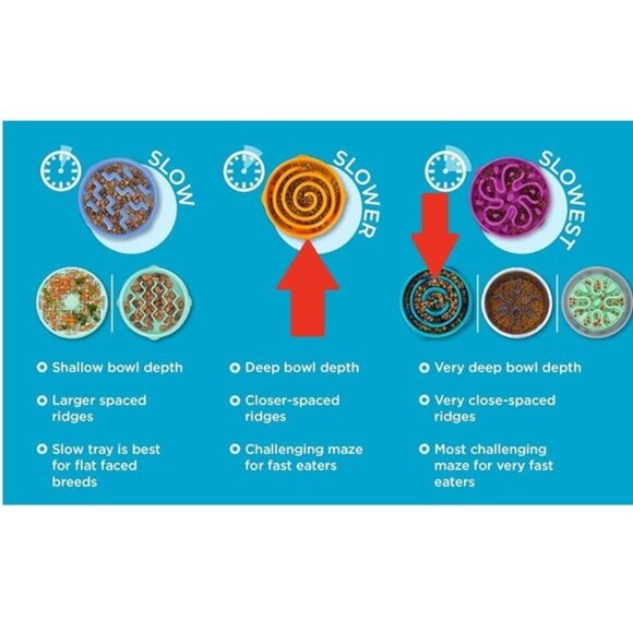 Outward Hound Slo (Slow) Fun Feeder Dog Bowl, Set of 2 Medium Turquoise/Orange - Picture 13 of 13